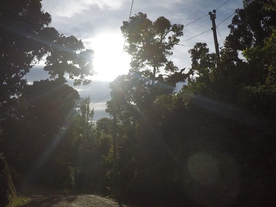 Cabana De Montana La Magnolia, Cerro De La Muerte De La Canuela Cloud Forest Tres de Junio Zewnętrze zdjęcie
